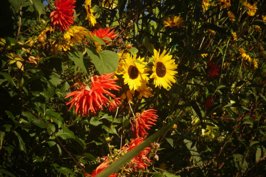 2018 Normandie 5_13.jpeg