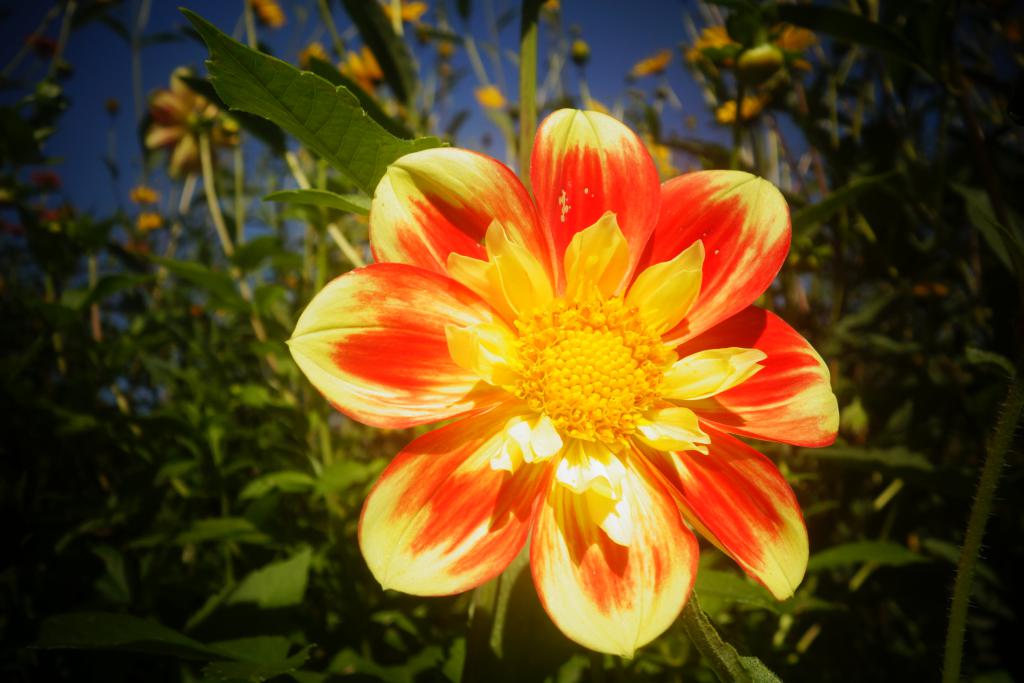 2018 Normandie 5_15.jpeg