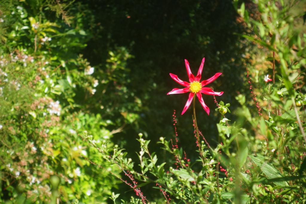 2018 Normandie 5_17.jpeg