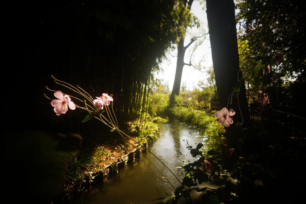 2018 Normandie 5_18.jpeg