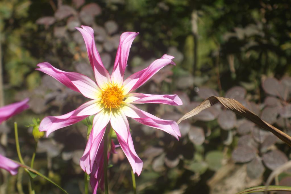 2018 Normandie 5_21.jpeg