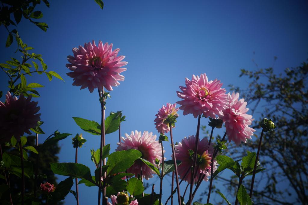 2018 Normandie 5_22.jpeg