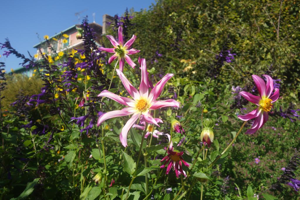 2018 Normandie 5_23.jpeg