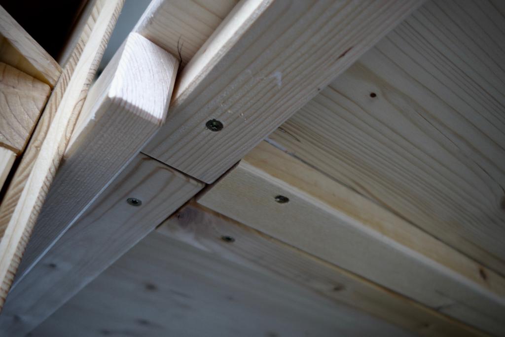 2018 Bau Don Carlos 17_6.jpeg