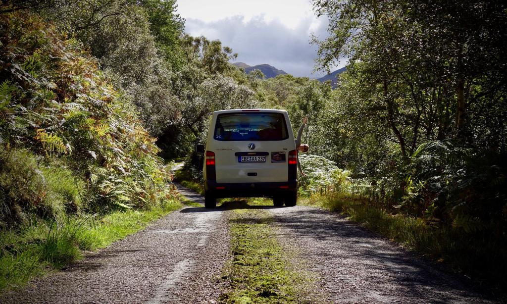 2018 Bau Don Carlos 21_1.jpeg