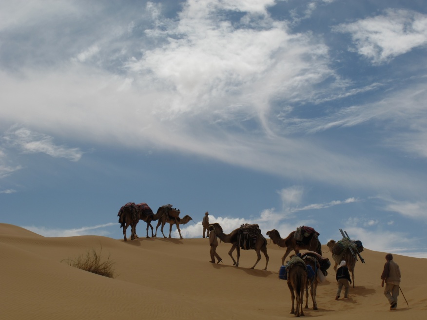 2015 Tunesien 1_2.jpeg