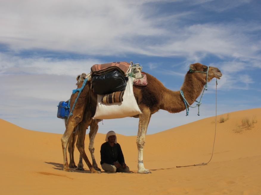 2015 Tunesien 1_3.jpeg