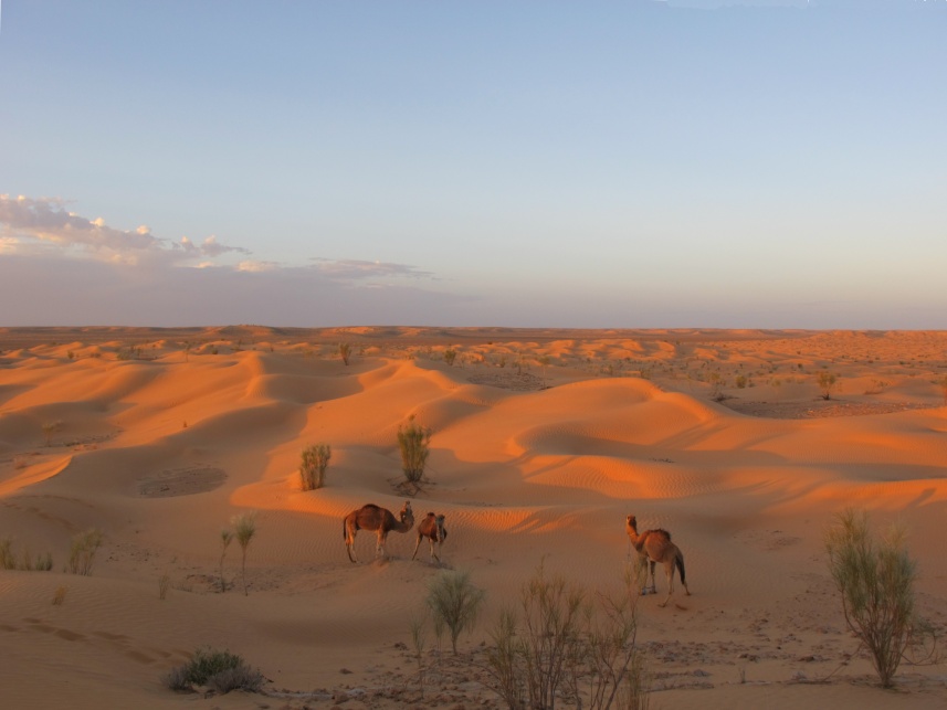 2015 Tunesien 1_5.jpeg