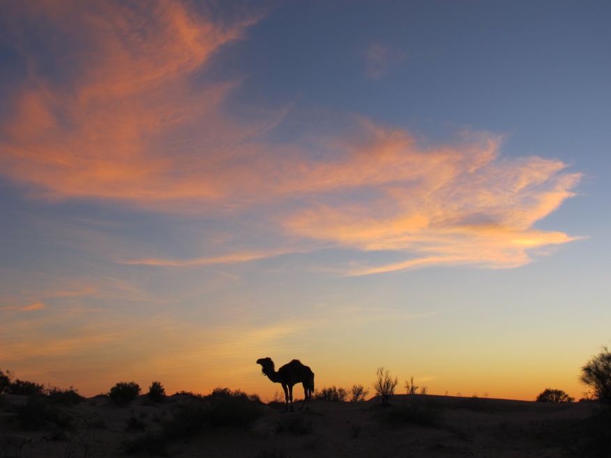 2015 Tunesien 1_6.jpeg