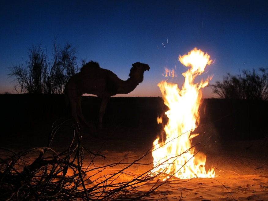 2015 Tunesien 1_8.jpeg