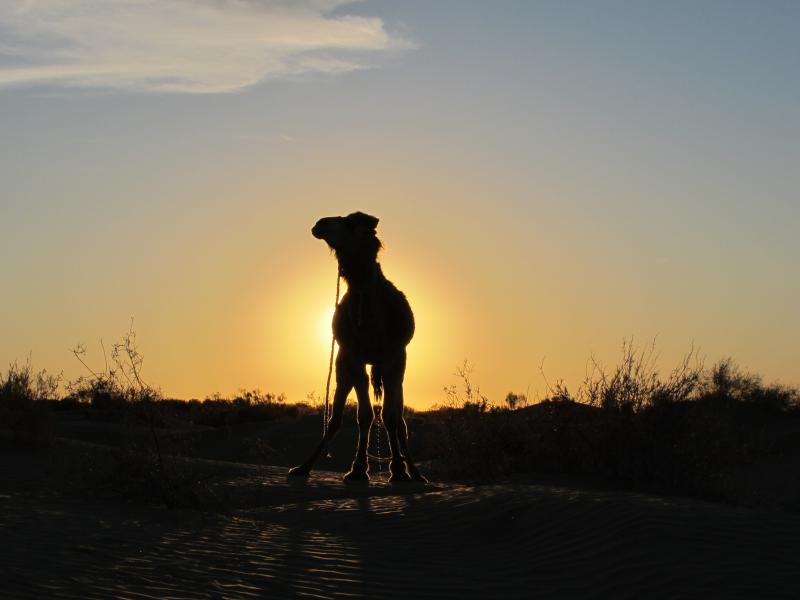 2015 Tunesien 1_10.jpeg