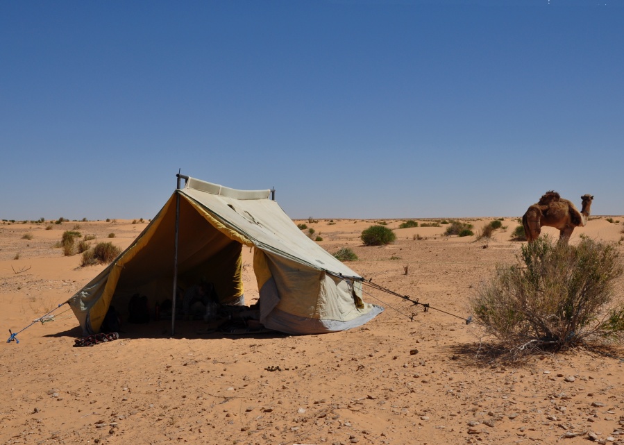 2015 Tunesien 1_13.jpeg