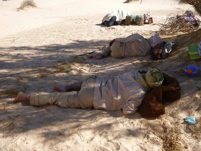 2015 Tunesien 1_17.jpeg