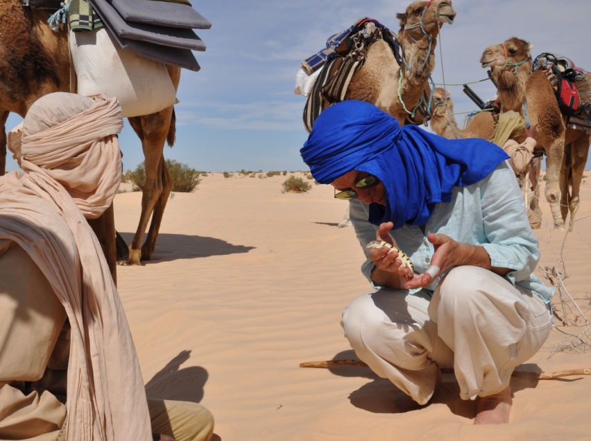 2015 Tunesien 1_20.jpeg