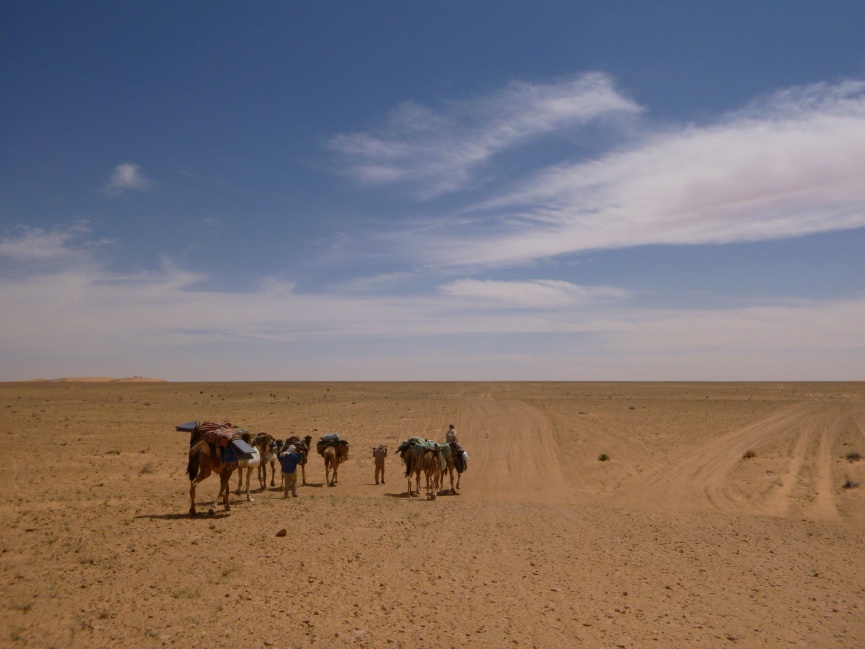 2015 Tunesien 1_28.jpeg