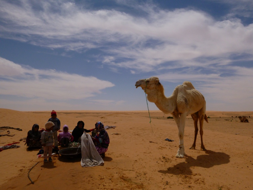 2015 Tunesien 1_29.jpeg