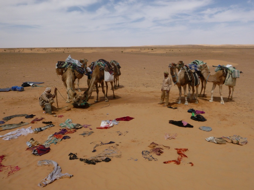 2015 Tunesien 1_30.jpeg