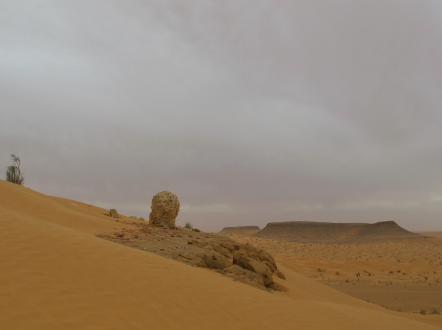 2015 Tunesien 2_2.jpeg