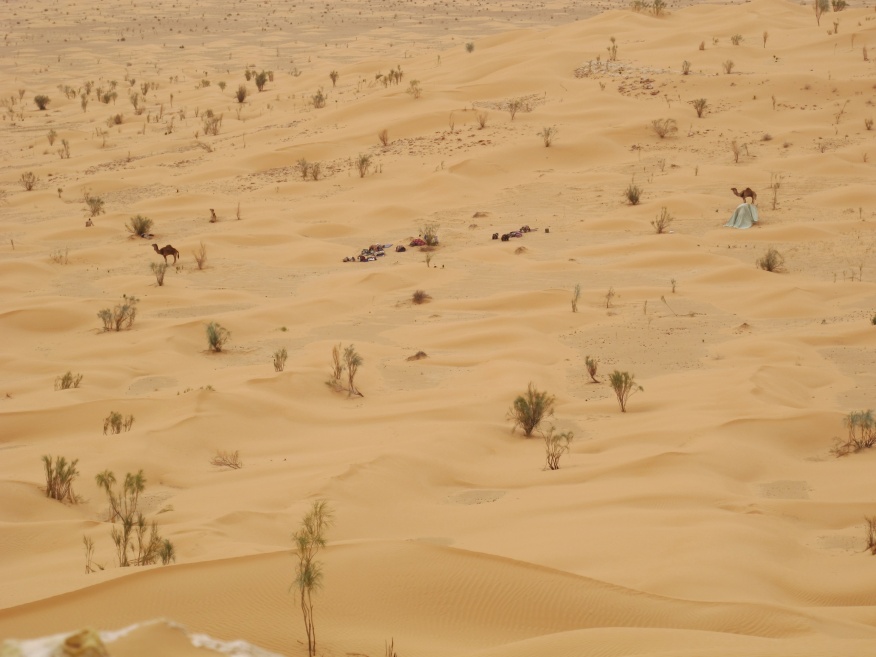 2015 Tunesien 2_3.jpeg