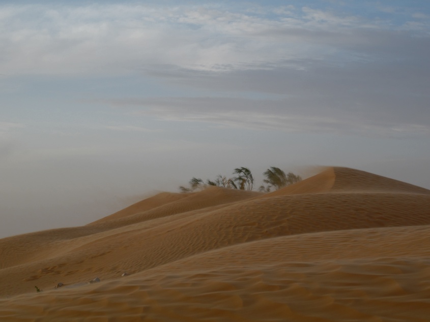 2015 Tunesien 2_6.jpeg