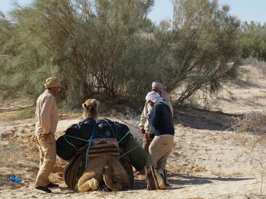 2015 Tunesien 2_8.jpeg