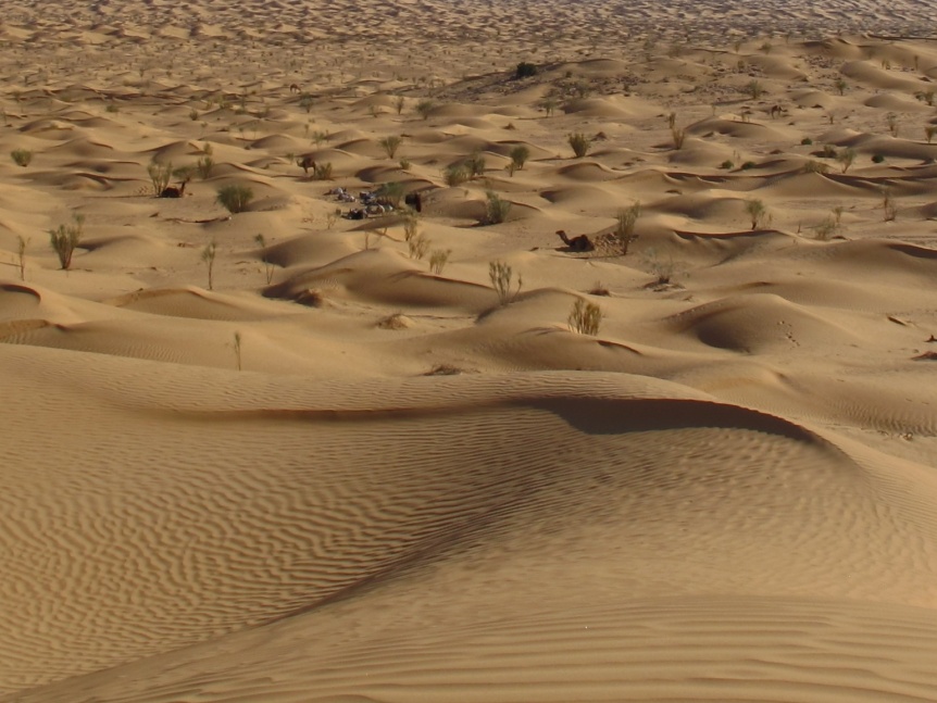 2015 Tunesien 2_10.jpeg