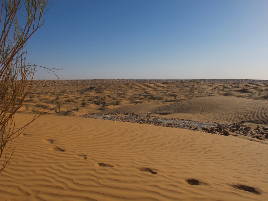 2015 Tunesien 2_11.jpeg