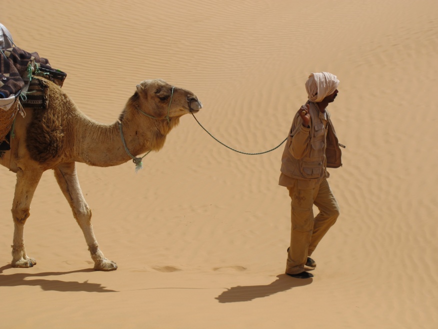 2015 Tunesien 2_14.jpeg