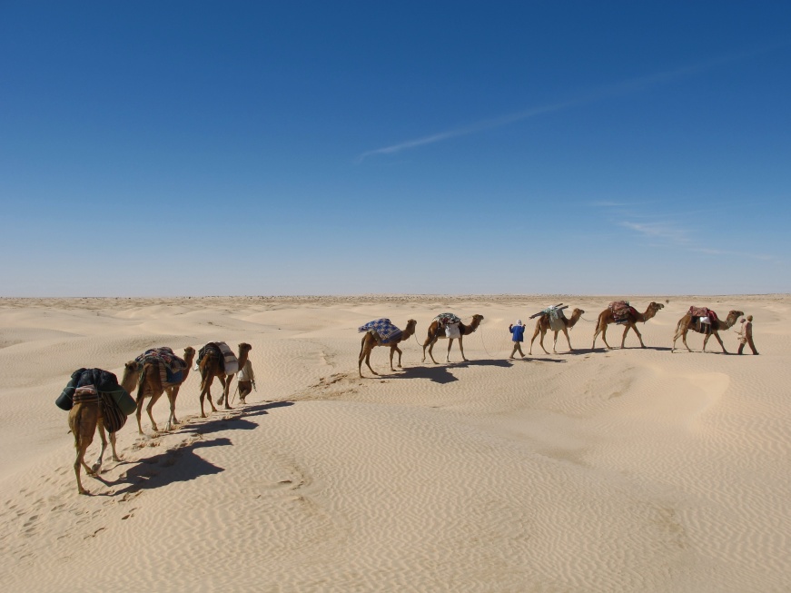 2015 Tunesien 2_17.jpeg