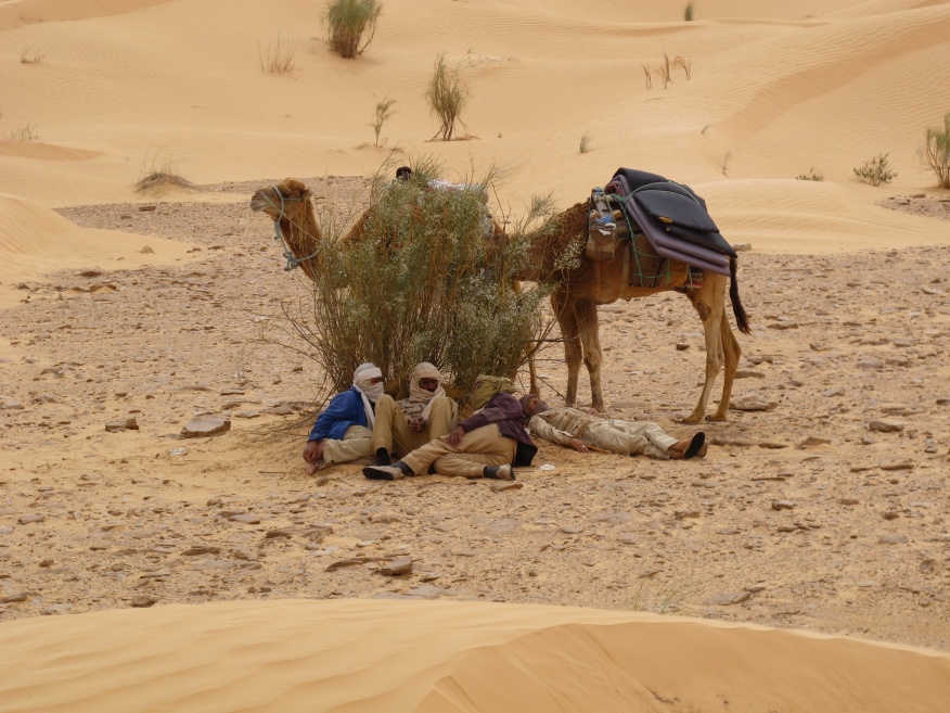 2015 Tunesien 2_18.jpeg