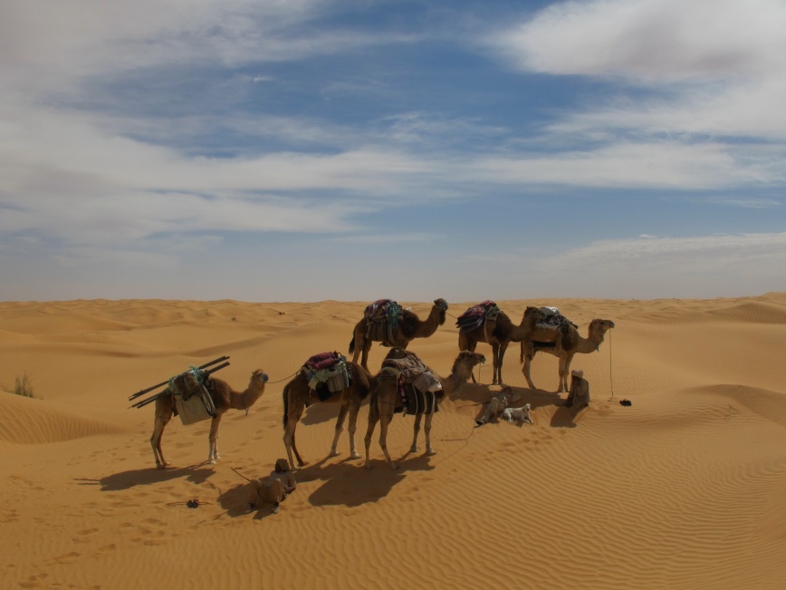 2015 Tunesien 2_19.jpeg