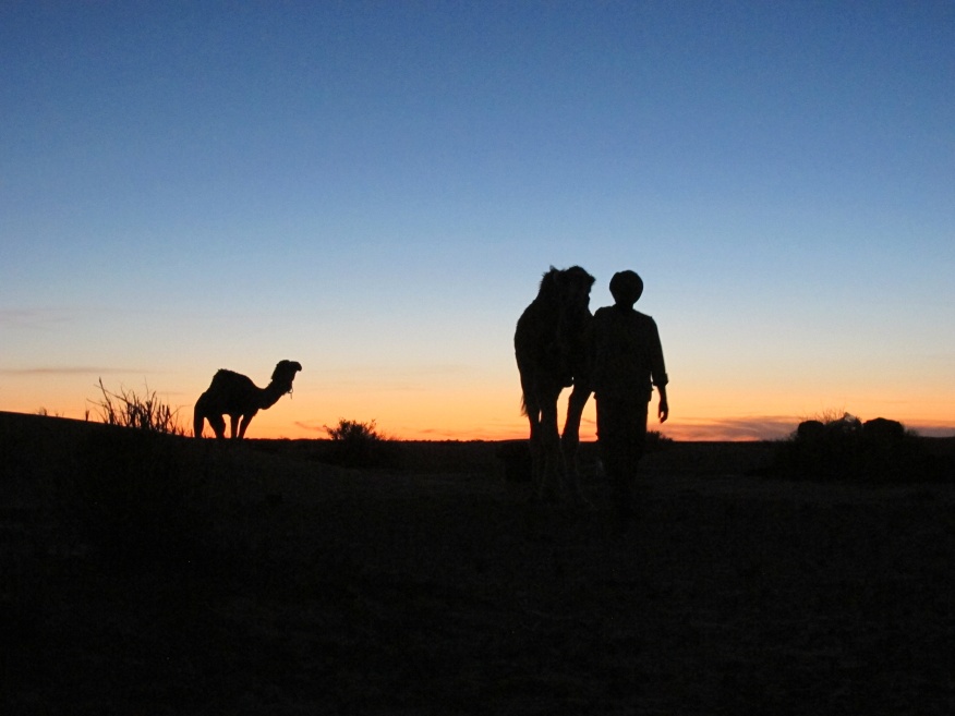 2015 Tunesien 2_22.jpeg