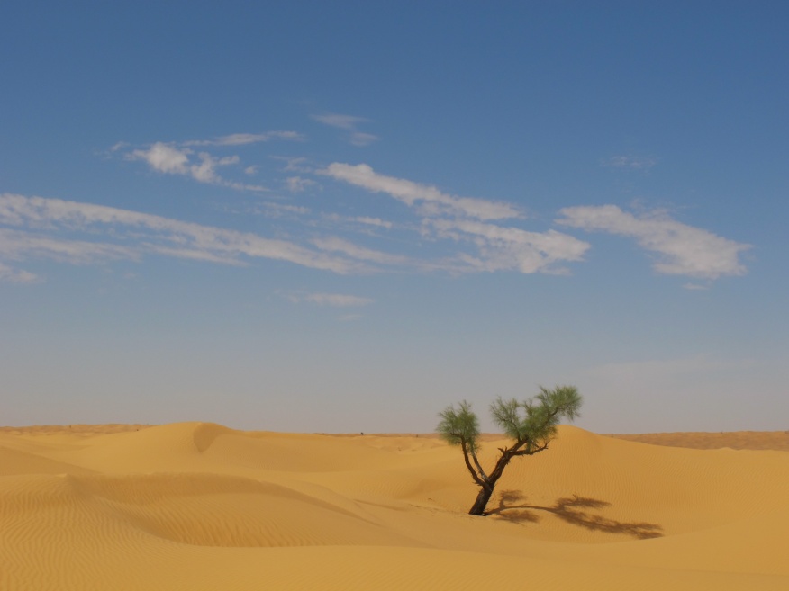 2015 Tunesien 2_23.jpeg