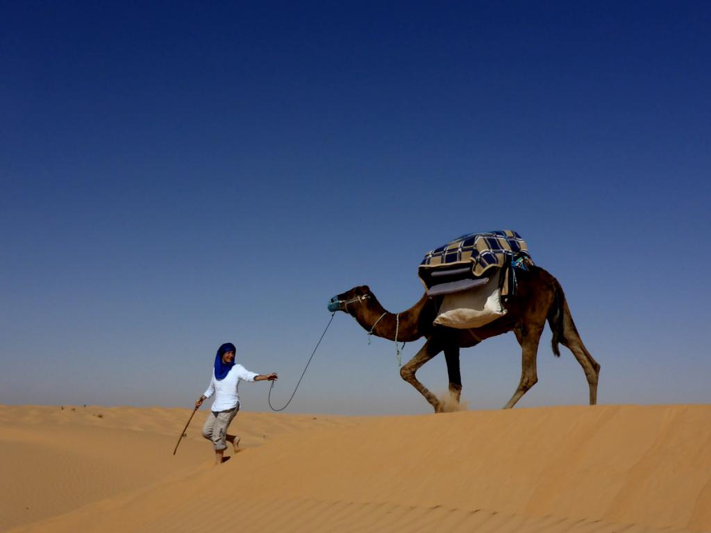 2015 Tunesien 3_1.jpeg