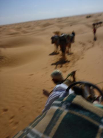 2015 Tunesien 3_2.jpeg