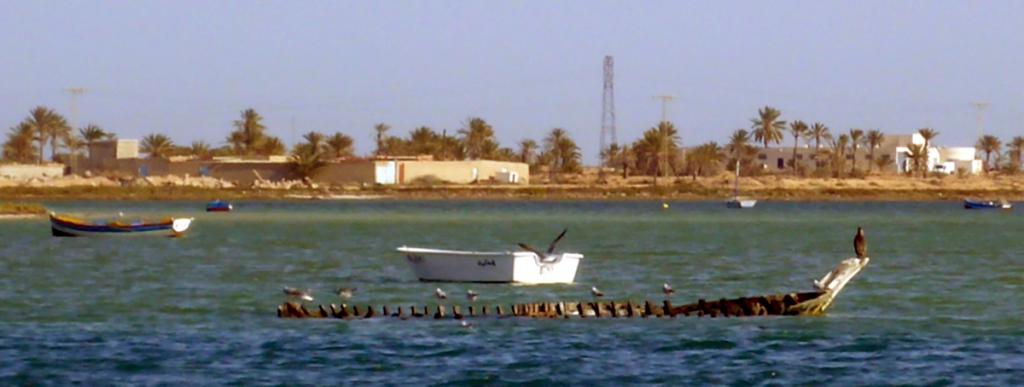 2016 Tunesien 1_5.jpeg