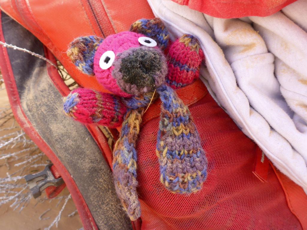 2016 Tunesien 1_7.jpeg