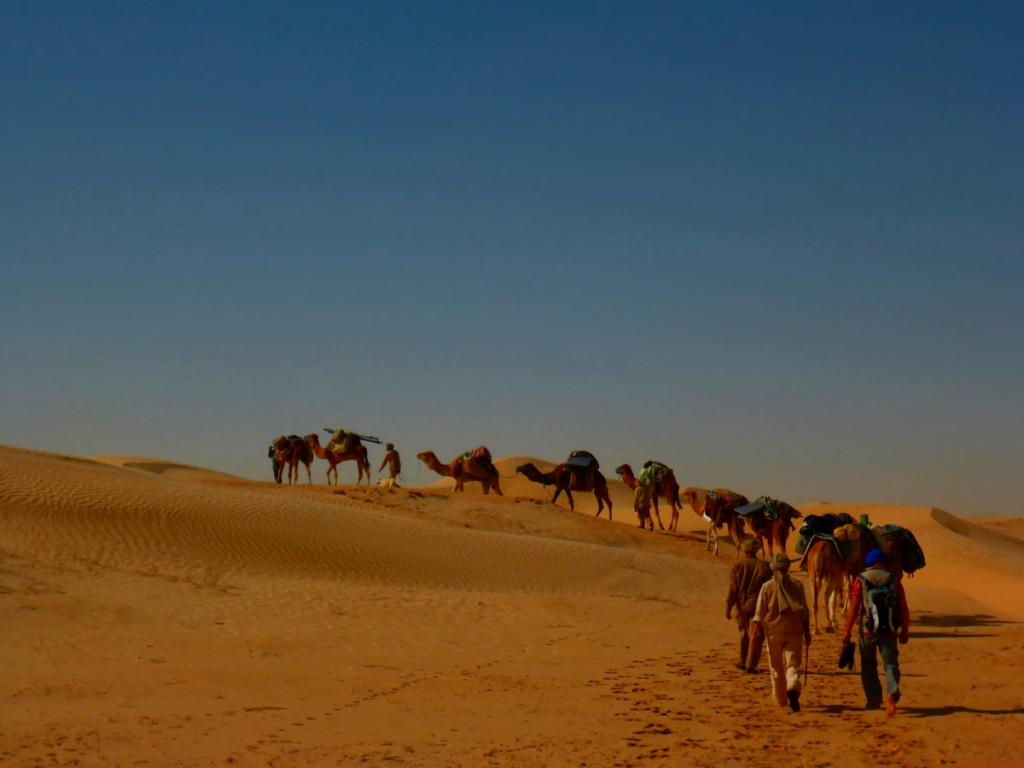 2016 Tunesien 1_8.jpeg