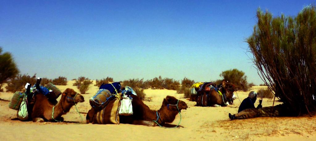 2016 Tunesien 1_9.jpeg