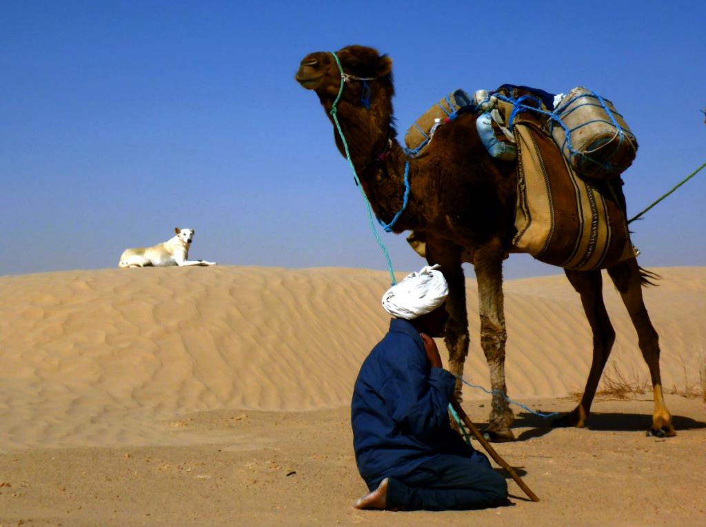 2016 Tunesien 1_10.jpeg