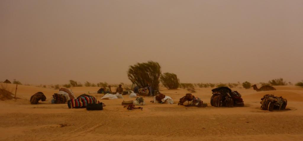 2016 Tunesien 1_13.jpeg