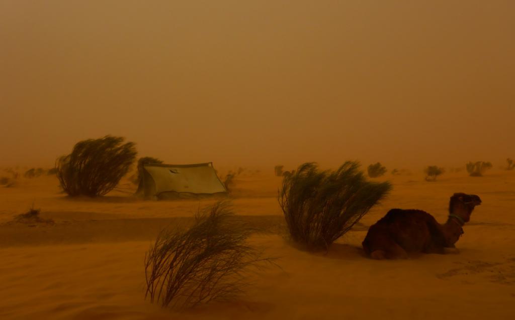 2016 Tunesien 1_20.jpeg