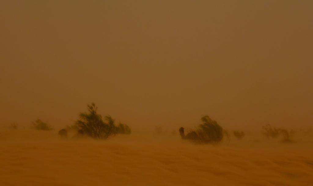 2016 Tunesien 1_23.jpeg