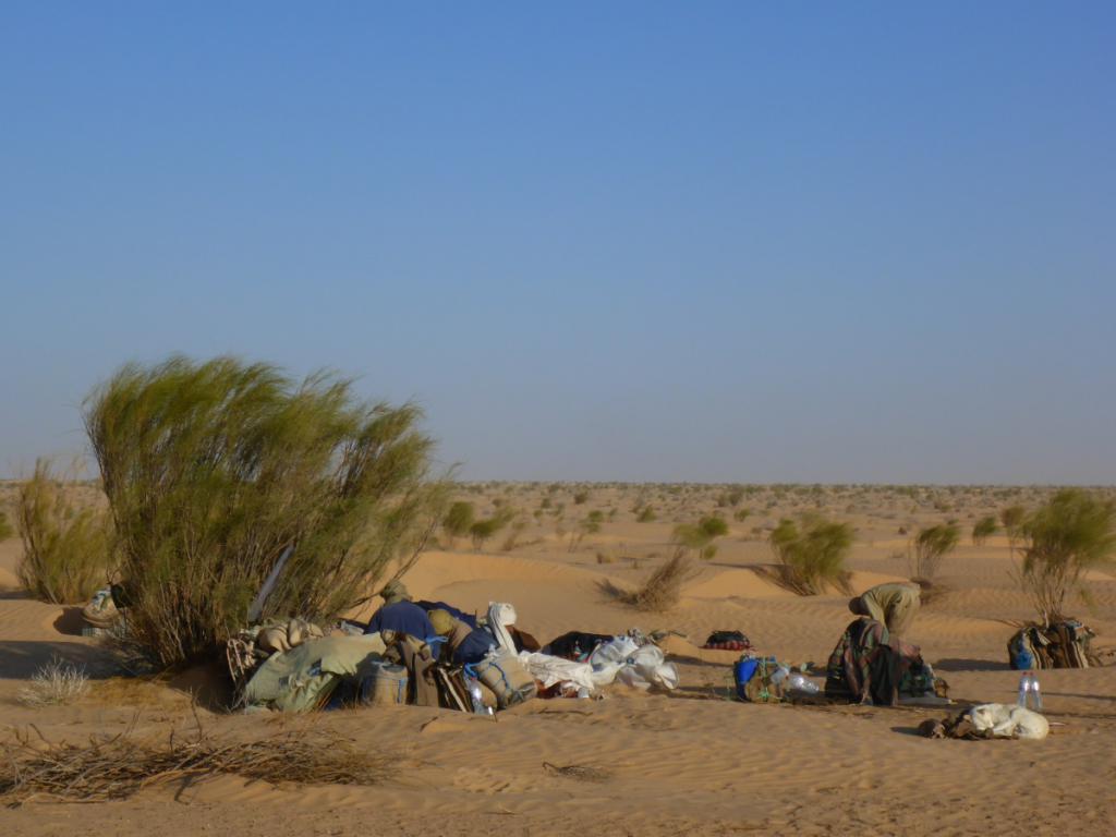 2016 Tunesien 1_25.jpeg