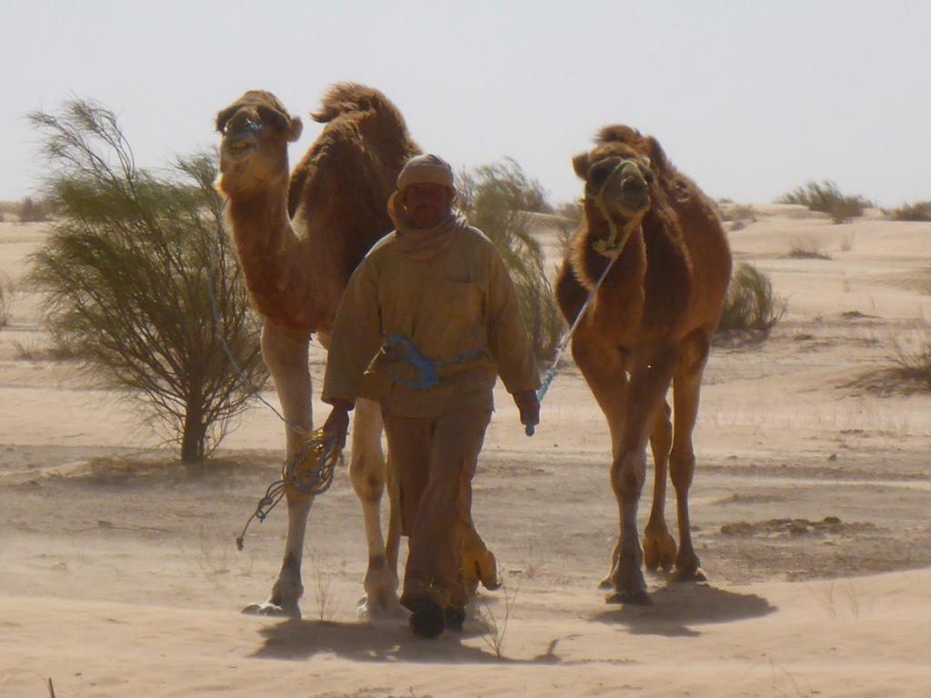 2016 Tunesien 2_8.jpeg