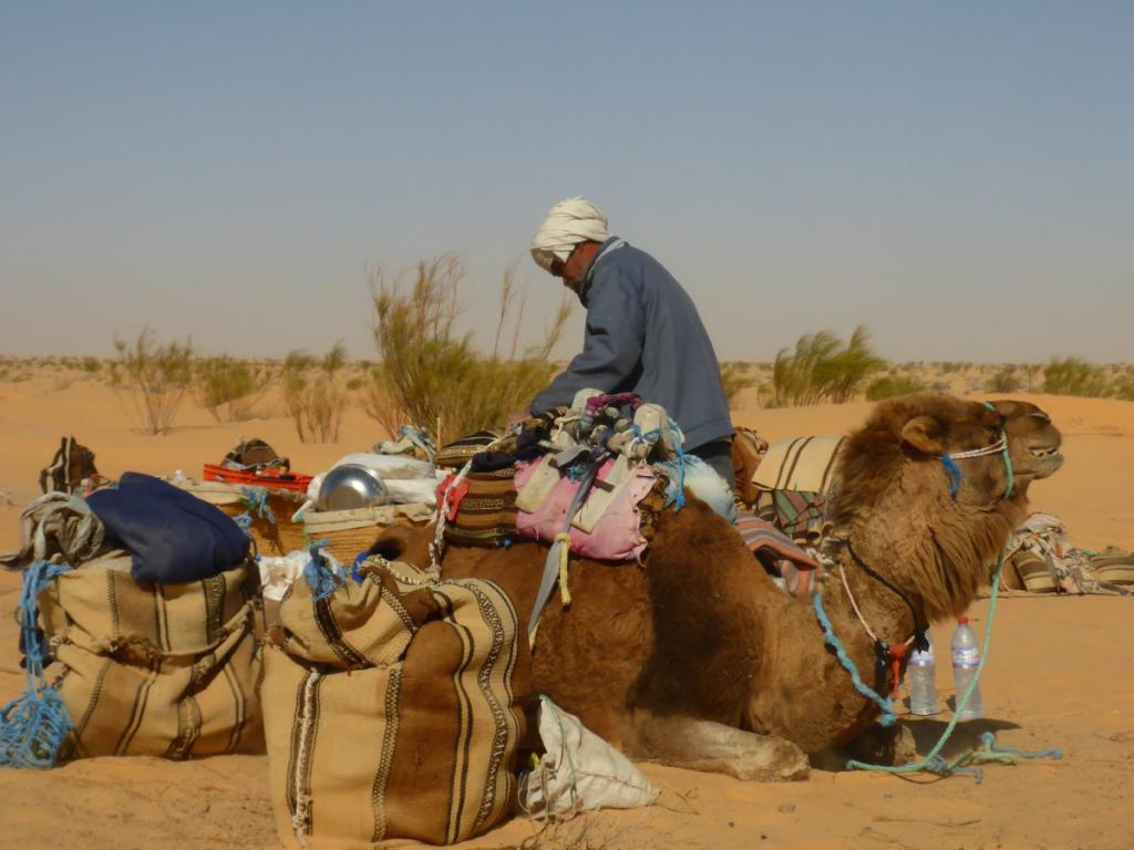 2016 Tunesien 2_9.jpeg