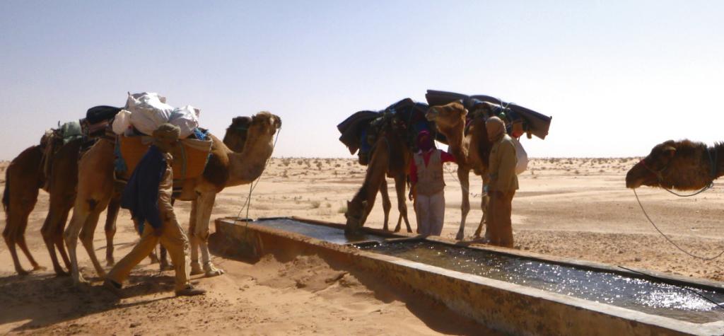 2016 Tunesien 2_14.jpeg