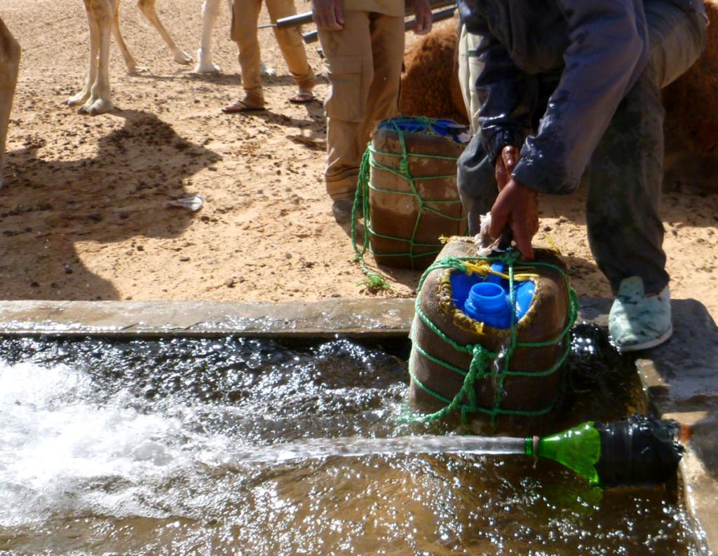 2016 Tunesien 2_15.jpeg