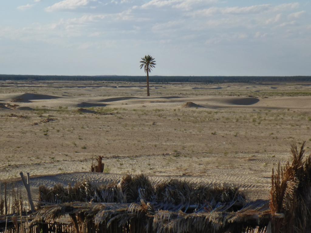 2016 Tunesien 3_1.jpeg