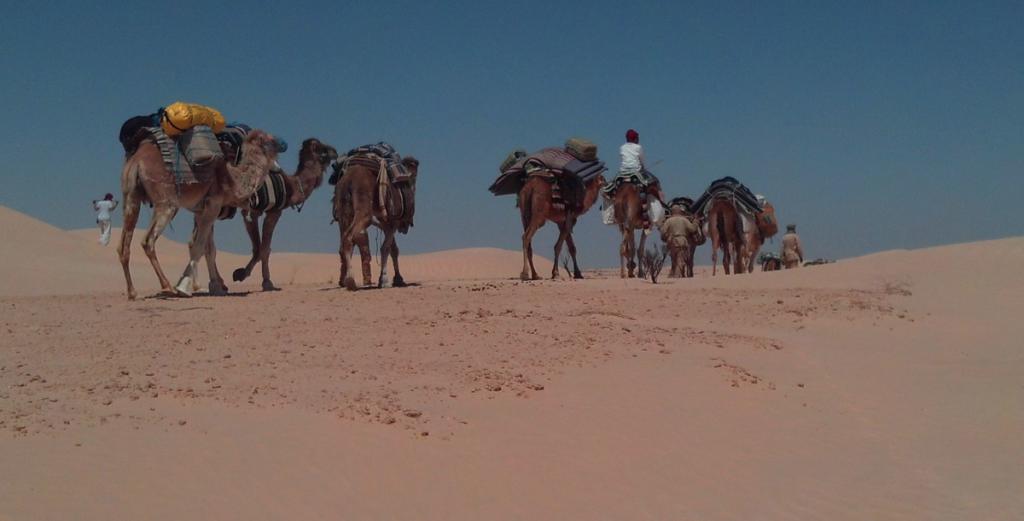 2016 Tunesien 3_12.jpeg